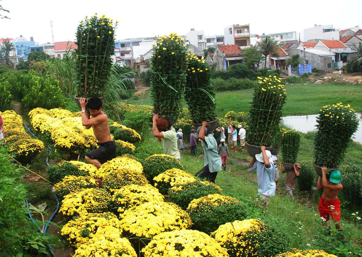 Giao lưu trực tuyến với lãnh đạo UBND tỉnh Phú Yên: Cơ hội Kl99ok phiên bản mới vào Phú Yên ảnh 62